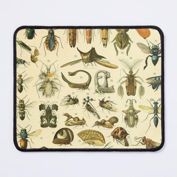 Item preview, Adolphe Millot, 1857-1921France | Ecology Vintage illustration by Adolphe Millot designed and sold by HobertShoop.