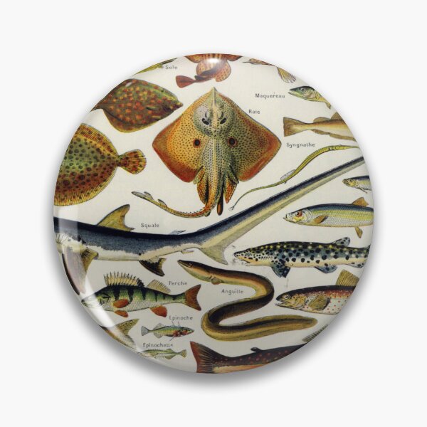 Item preview, Adolphe Millot, 1857-1921France | Ecology Vintage illustration by Adolphe Millot designed and sold by HobertShoop.