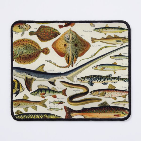 Item preview, Adolphe Millot, 1857-1921France | Ecology Vintage illustration by Adolphe Millot designed and sold by HobertShoop.