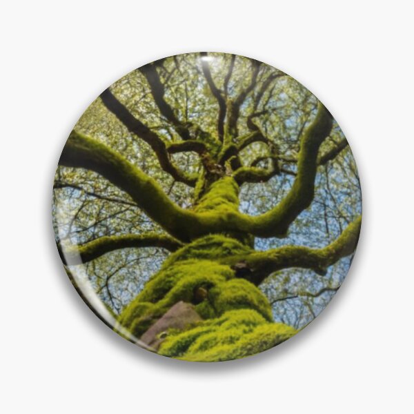 Item preview, Tree Touch designed and sold by AImonk.