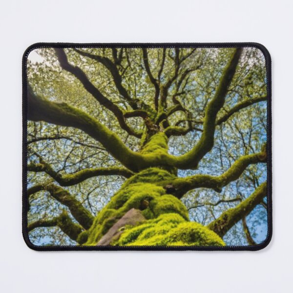 Item preview, Tree Touch designed and sold by AImonk.