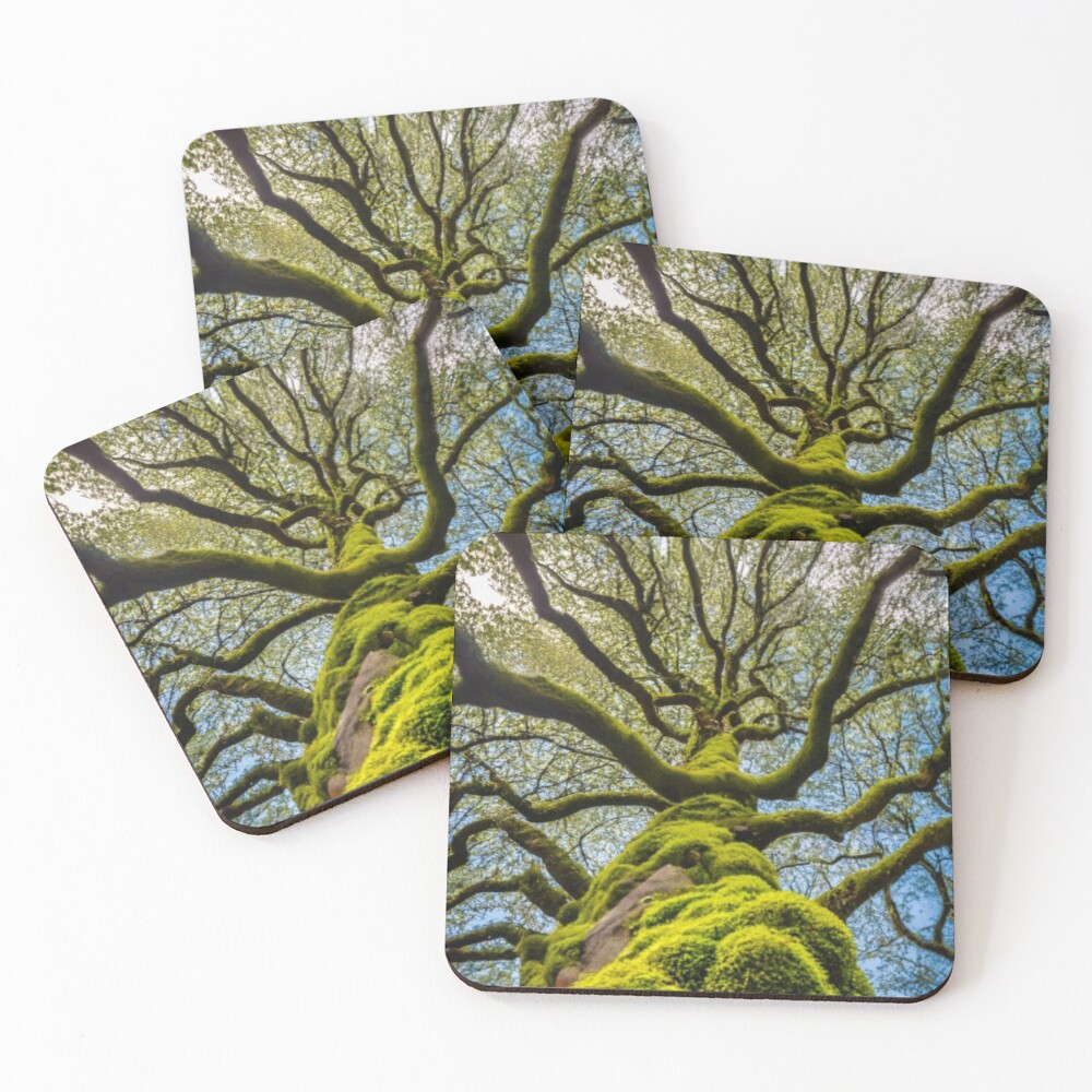Item preview, Coasters (Set of 4) designed and sold by AImonk.