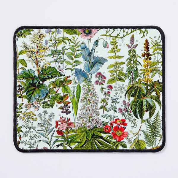 Item preview, Adolphe Millot, 1857-1921France | Ecology Vintage illustration by Adolphe Millot designed and sold by HobertShoop.