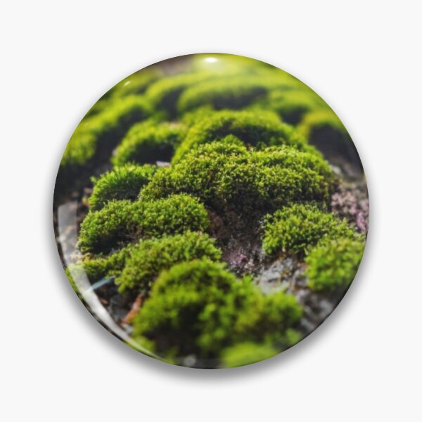 Item preview, Moss path designed and sold by AImonk.