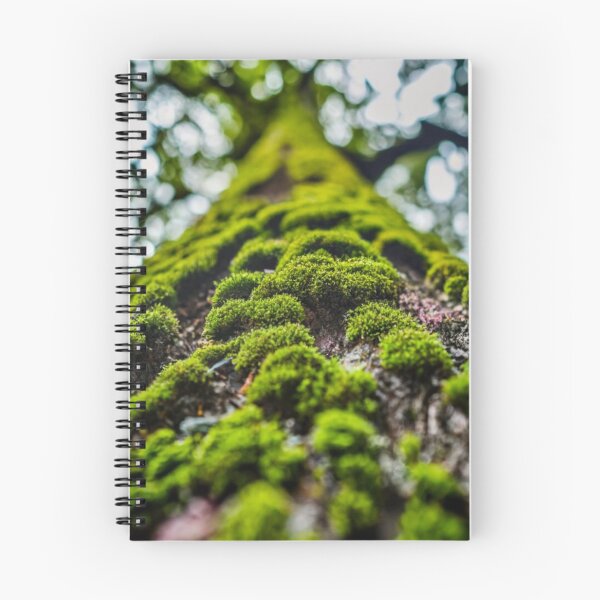 Item preview, Moss path designed and sold by AImonk.