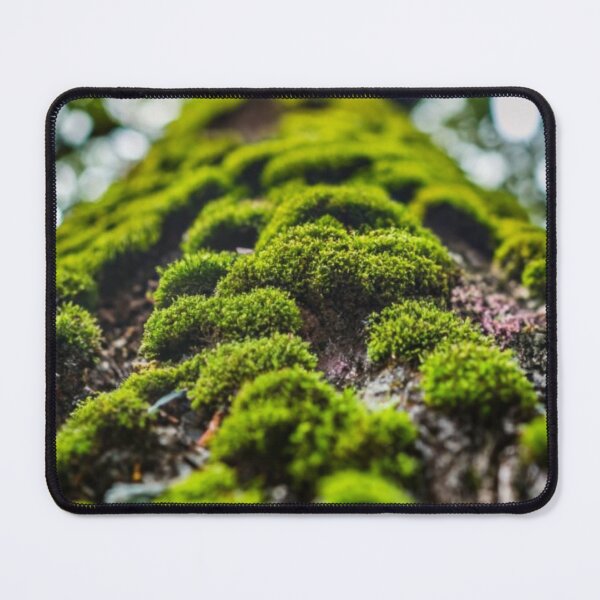 Item preview, Moss path designed and sold by AImonk.
