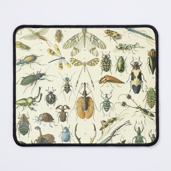 Item preview, Adolphe Millot Vintage Insect designed and sold by koovoxdogs.