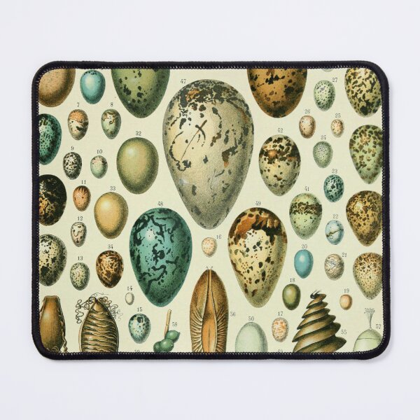 Item preview, Adolphe Millot Vintage Egg designed and sold by koovoxdogs.