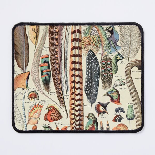 Item preview, Adolphe Millot Vintage Feather designed and sold by koovoxdogs.