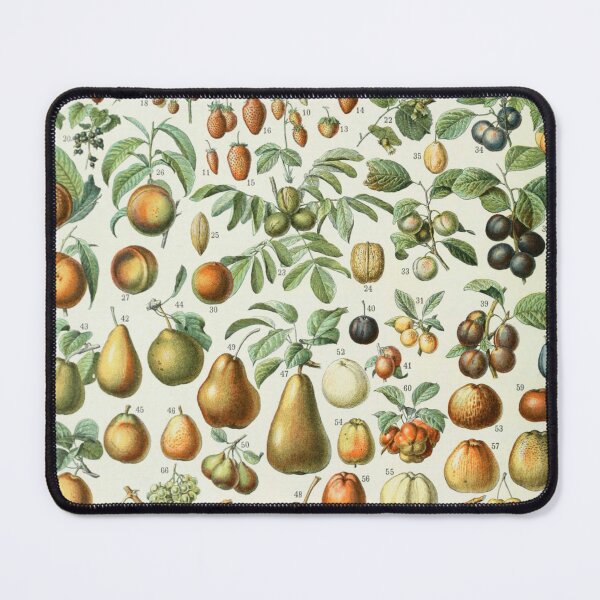 Item preview, Adolphe Millot Vintage Fruit designed and sold by koovoxdogs.