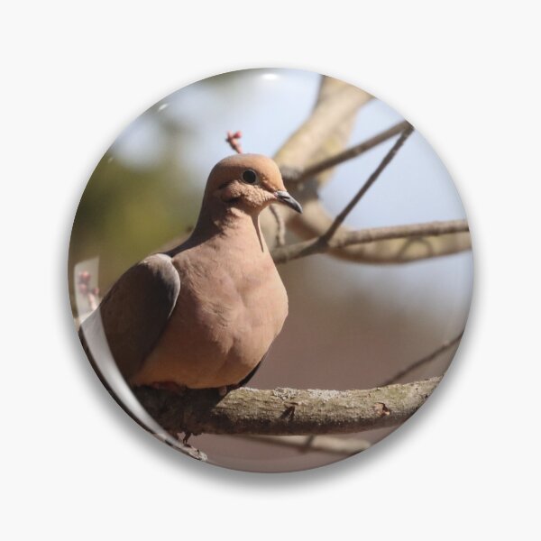 Item preview, A Very Relaxed Dove designed and sold by Judy Geller.