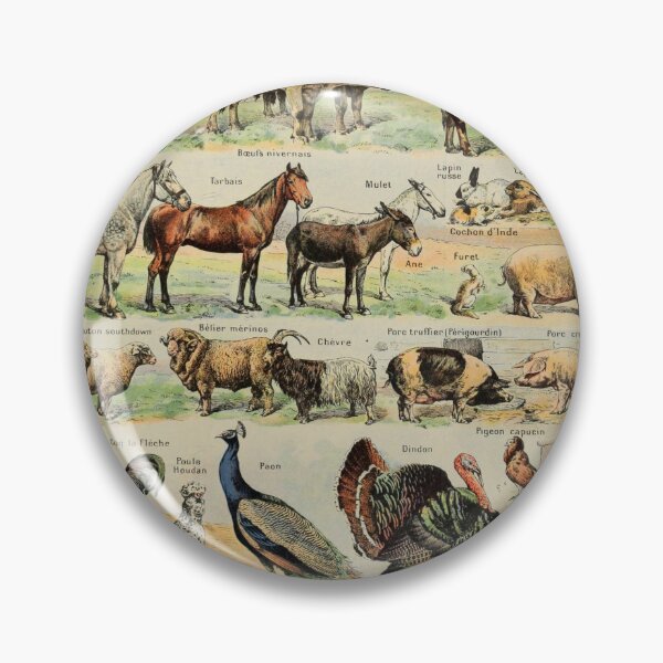 Item preview, Adolphe Millot, 1857-1921France | Ecology Vintage illustration by Adolphe Millot designed and sold by HobertShoop.