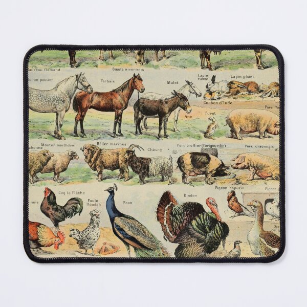 Item preview, Adolphe Millot, 1857-1921France | Ecology Vintage illustration by Adolphe Millot designed and sold by HobertShoop.