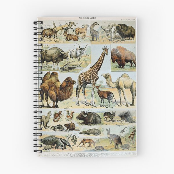 Item preview, Adolphe Millot, 1857-1921France | Ecology Vintage illustration by Adolphe Millot designed and sold by HobertShoop.