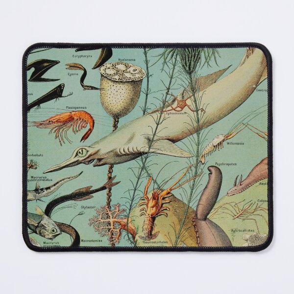 Item preview, Adolphe Millot, 1857-1921France | Ecology Vintage illustration by Adolphe Millot designed and sold by HobertShoop.