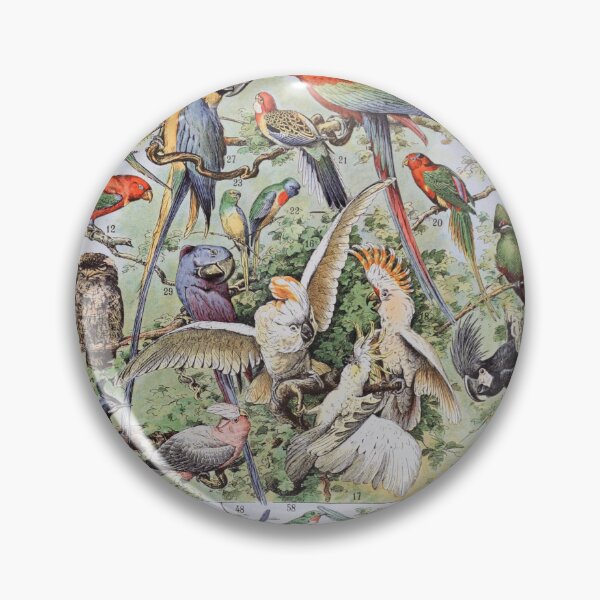 Item preview, Adolphe Millot, 1857-1921France | Ecology Vintage illustration by Adolphe Millot designed and sold by HobertShoop.
