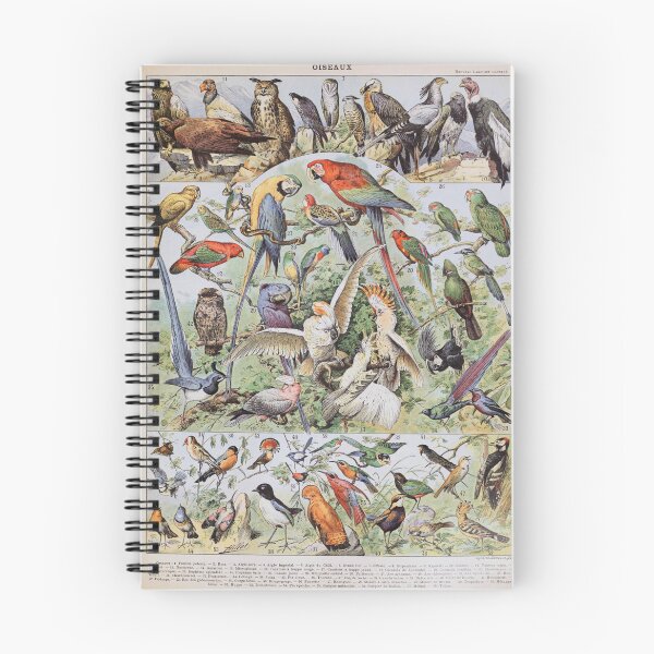 Item preview, Adolphe Millot, 1857-1921France | Ecology Vintage illustration by Adolphe Millot designed and sold by HobertShoop.