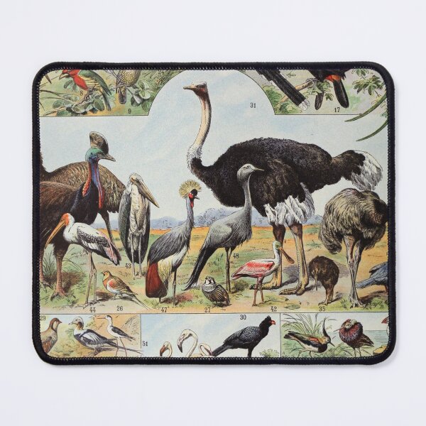 Item preview, Adolphe Millot, 1857-1921France | Ecology Vintage illustration by Adolphe Millot designed and sold by HobertShoop.