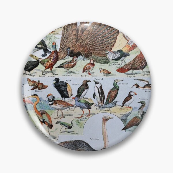 Item preview, Adolphe Millot, 1857-1921France | Ecology Vintage illustration by Adolphe Millot designed and sold by HobertShoop.
