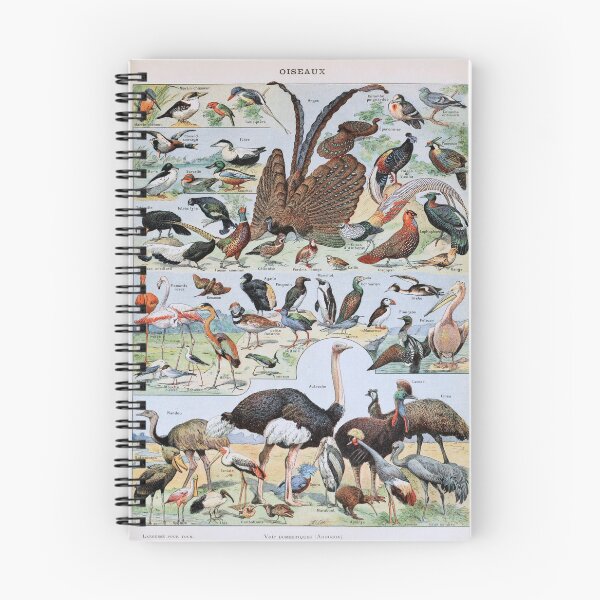 Item preview, Adolphe Millot, 1857-1921France | Ecology Vintage illustration by Adolphe Millot designed and sold by HobertShoop.