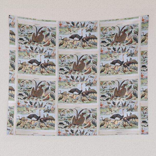 Item preview, Adolphe Millot, 1857-1921France | Ecology Vintage illustration by Adolphe Millot designed and sold by HobertShoop.