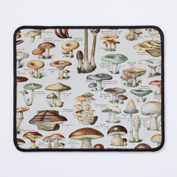 Item preview, Adolphe Millot, 1857-1921France | Ecology Vintage illustration by Adolphe Millot designed and sold by HobertShoop.
