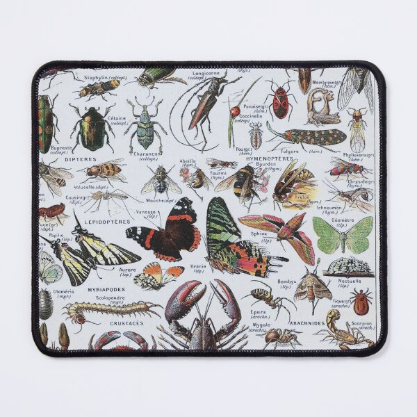 Item preview, Adolphe Millot, 1857-1921France | Ecology Vintage illustration by Adolphe Millot designed and sold by HobertShoop.
