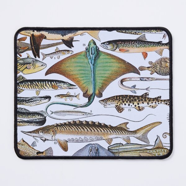 Item preview, Adolphe Millot, 1857-1921France | Ecology Vintage illustration by Adolphe Millot designed and sold by HobertShoop.