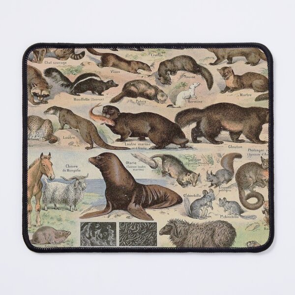 Item preview, Adolphe Millot, 1857-1921France | Ecology Vintage illustration by Adolphe Millot designed and sold by HobertShoop.