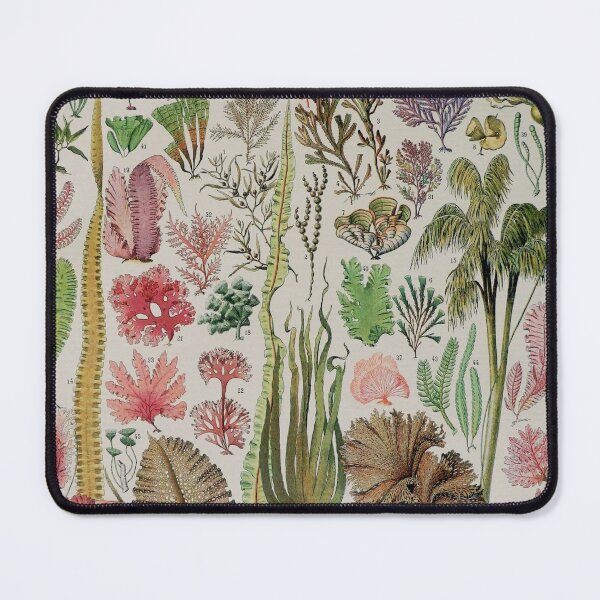 Item preview, Adolphe Millot, 1857-1921France | Ecology Vintage illustration by Adolphe Millot designed and sold by HobertShoop.