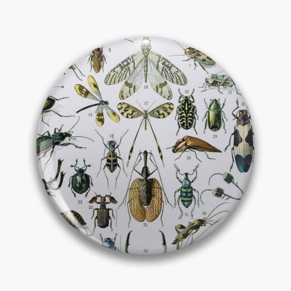 Item preview, Adolphe Millot, 1857-1921France | Ecology Vintage illustration by Adolphe Millot designed and sold by HobertShoop.