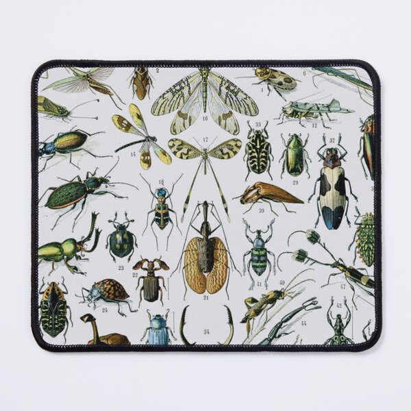 Item preview, Adolphe Millot, 1857-1921France | Ecology Vintage illustration by Adolphe Millot designed and sold by HobertShoop.