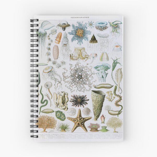 Item preview, Adolphe Millot, 1857-1921France | Ecology Vintage illustration by Adolphe Millot designed and sold by HobertShoop.