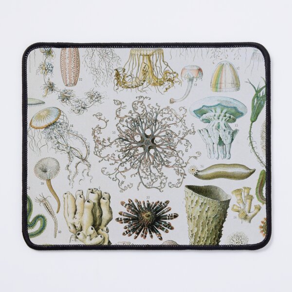 Item preview, Adolphe Millot, 1857-1921France | Ecology Vintage illustration by Adolphe Millot designed and sold by HobertShoop.