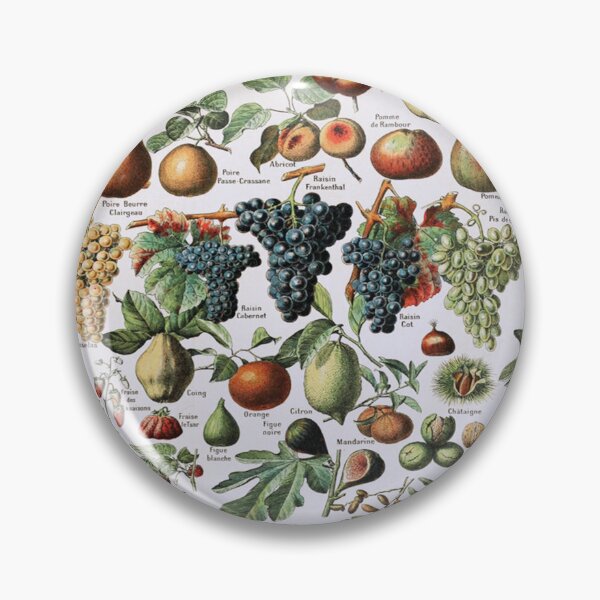 Item preview, Adolphe Millot, 1857-1921France | Ecology Vintage illustration by Adolphe Millot designed and sold by HobertShoop.