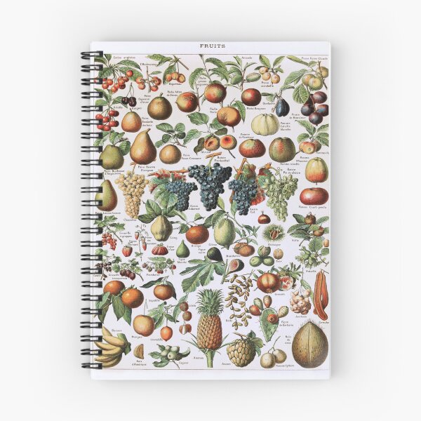 Item preview, Adolphe Millot, 1857-1921France | Ecology Vintage illustration by Adolphe Millot designed and sold by HobertShoop.