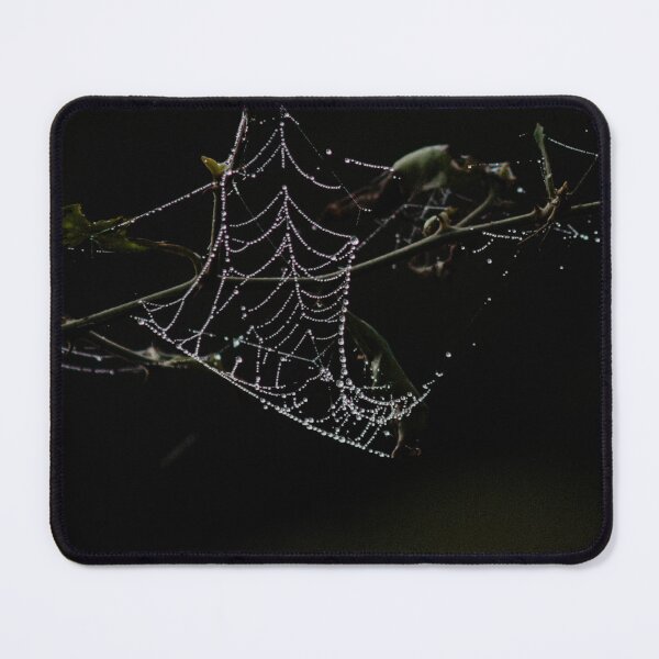 Item preview, Dewy spider web designed and sold by Insnaptive.