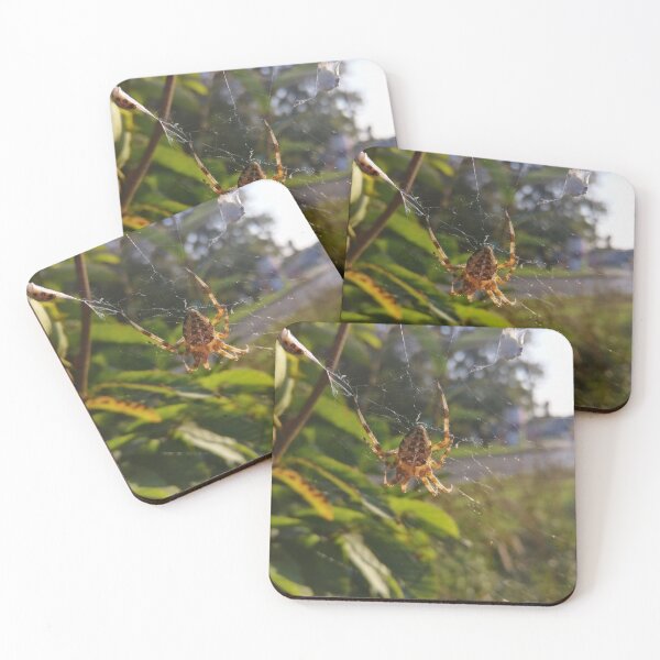 Item preview, Garden spider on the net designed and sold by Grey House.
