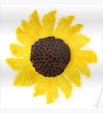 Fluffy Sunflower Poster