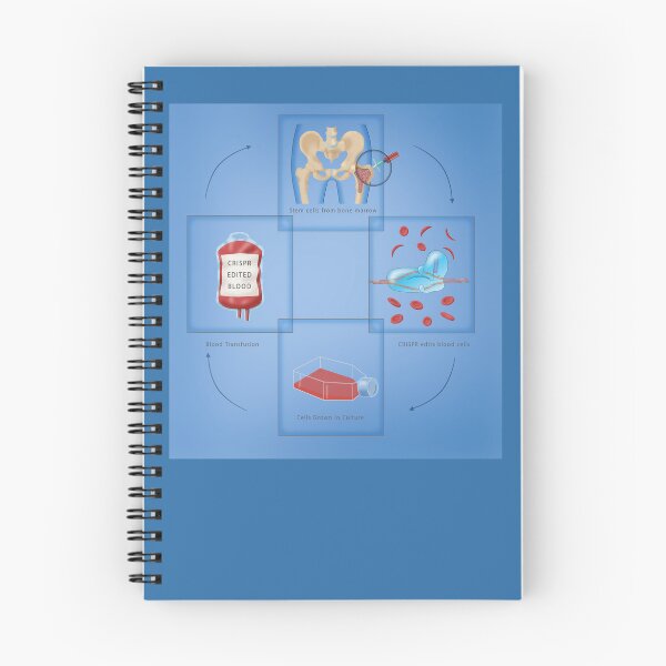 Item preview, CRISPR Cure for Sickle Cell Disease designed and sold by ScienceSource.