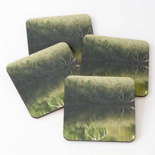 Item preview, Pond Reflections in the early light designed and sold by PhotosBySusanne.