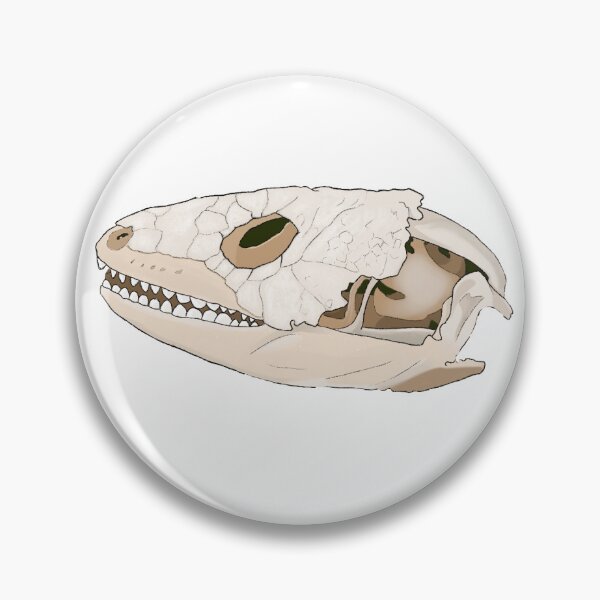 Item preview, Skink skull designed and sold by birchleahf.