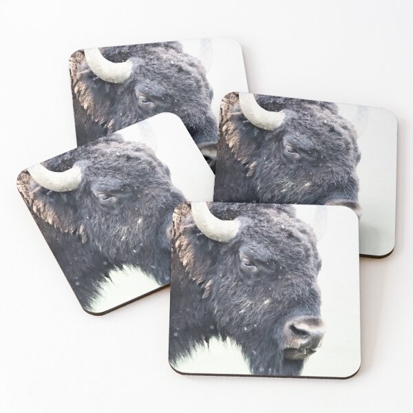 Item preview, Bison in the mist designed and sold by zmphotography.
