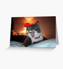 Exhausted © Vicki Ferrari Greeting Card