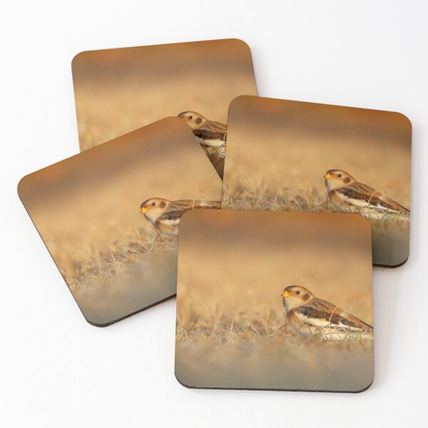 Item preview, Snow Bunting at sunrise designed and sold by zmphotography.