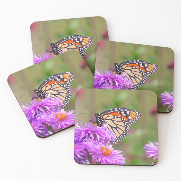 Item preview, Monarch on purple asters designed and sold by zmphotography.