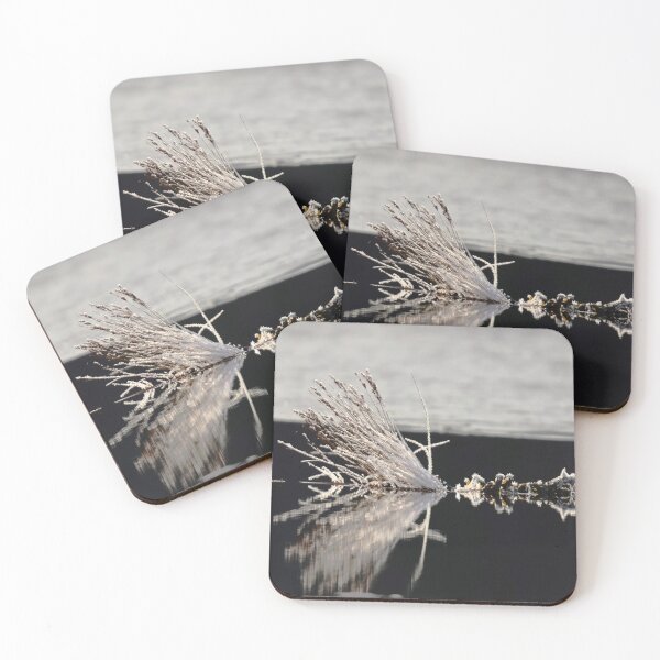 Artikelvorschau, Frozen grass entworfen und verkauft von zmphotography.