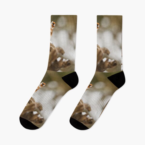 Item preview, Take a look now. .European goldfinch designed and sold by Jouko Lehto Photography.
