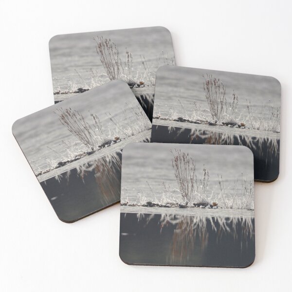 Item preview, Frozen plants designed and sold by zmphotography.
