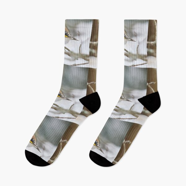 Item preview, Light snow. European goldfinch designed and sold by Jouko Lehto Photography.